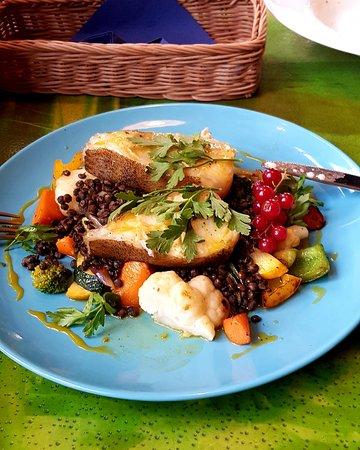 Gryfon